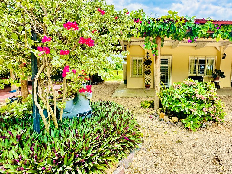 Cabin Tolú - Natural escape with nearby beaches - Paulamar