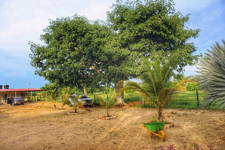 Escapada Perfecta con Comodidad y Naturaleza: Aire Acondicio